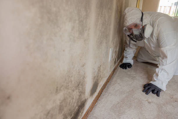 Carpet water damage restoration in Greendale, IN